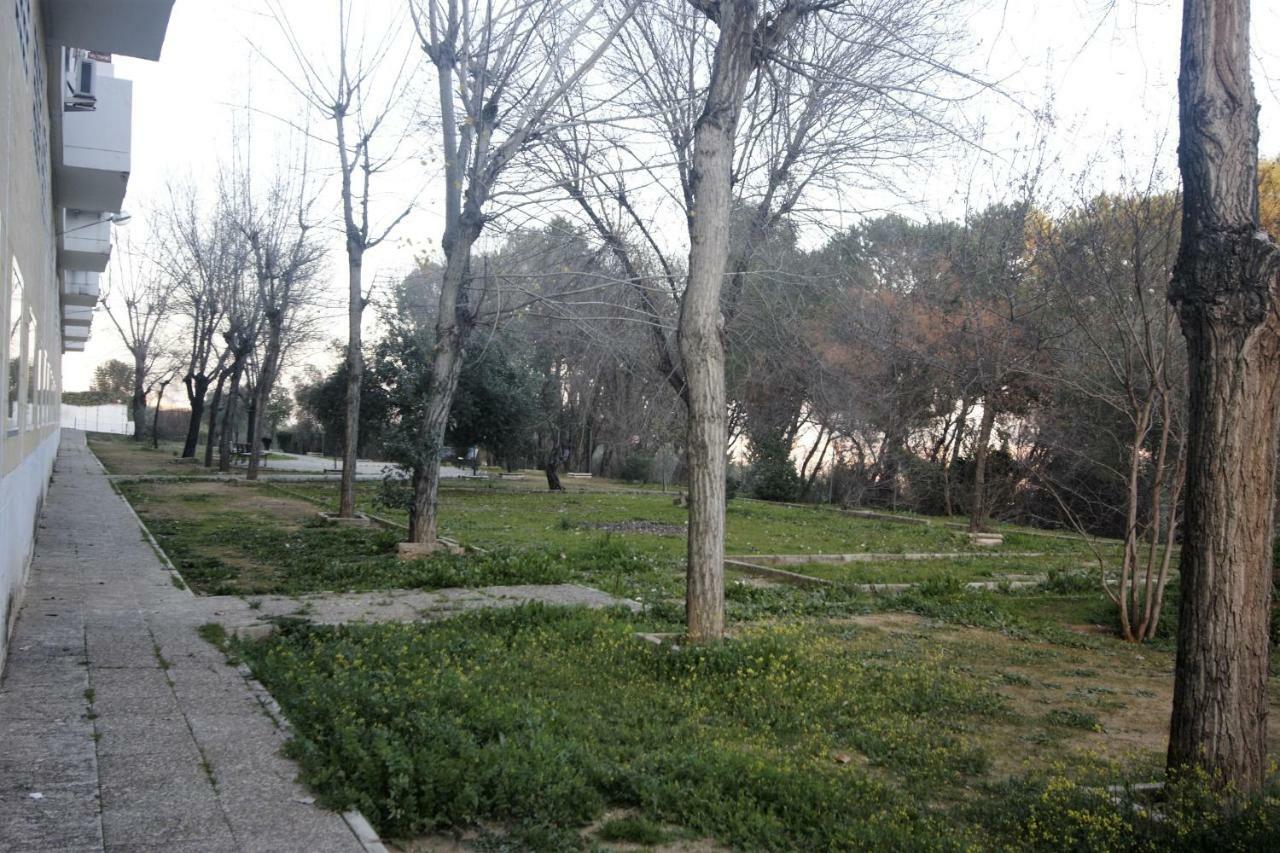 Bonito Apart. Con Parking Y Piscina Mairena del Aljarafe Kültér fotó
